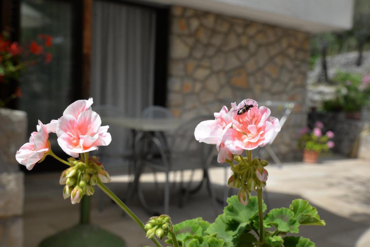 Apartments Palma & Pino Cres Zewnętrze zdjęcie