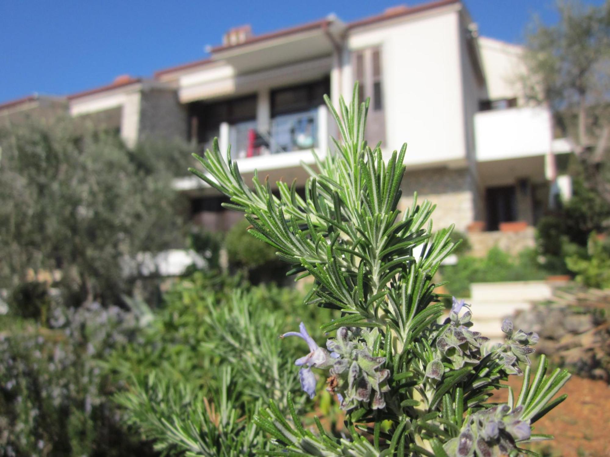 Apartments Palma & Pino Cres Zewnętrze zdjęcie