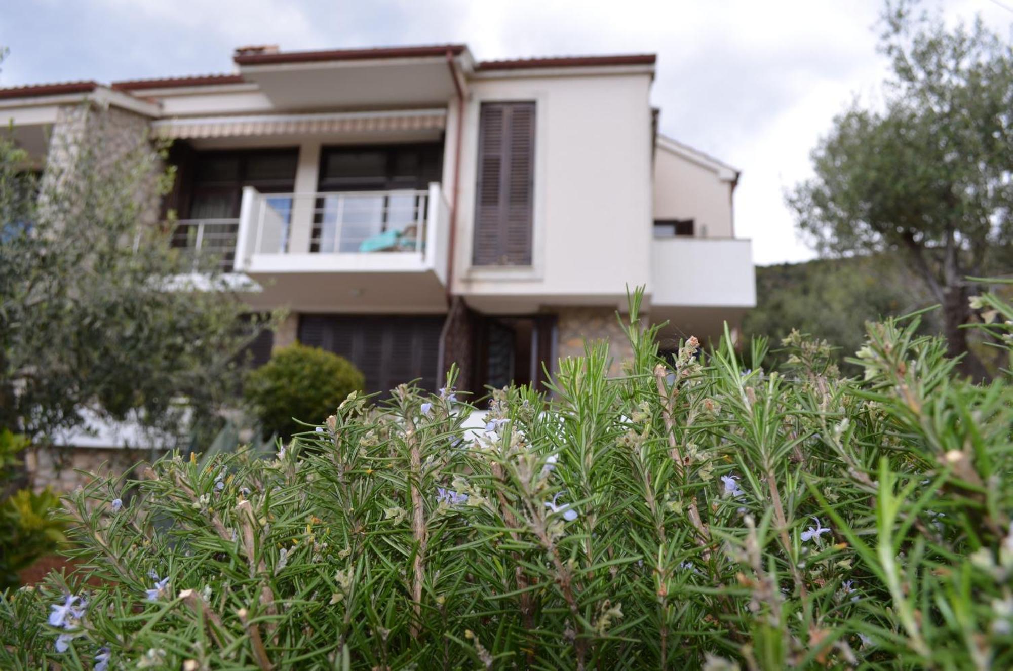 Apartments Palma & Pino Cres Zewnętrze zdjęcie